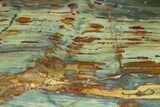 Gary Green Jasper (Larsonite) Bog Wood Slab - Oregon #302903-2